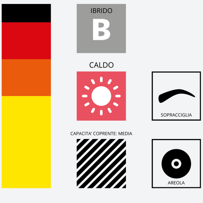 Infografica pigmento 203 Chocolate Brown Swiss Color – Dati tecnici Serie 2 PMU, formula ibrida calda per sopracciglia e areola.